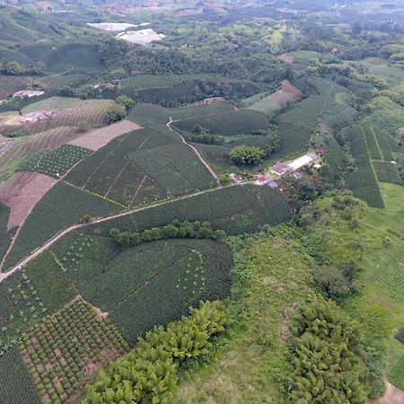 Hacienda Cafetera La Gaviota Villa Chinchina Ngoại thất bức ảnh