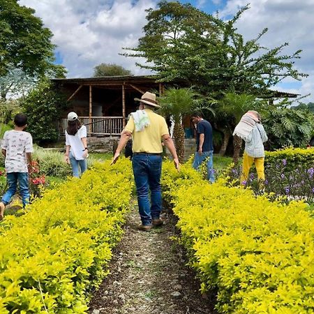 Hacienda Cafetera La Gaviota Villa Chinchina Ngoại thất bức ảnh