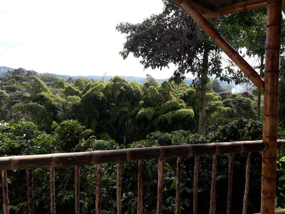 Hacienda Cafetera La Gaviota Villa Chinchina Ngoại thất bức ảnh